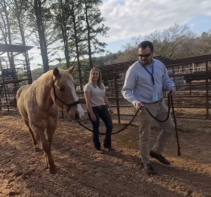 Equine therapy at Horizon Renewal Center